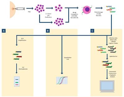 Advances in Imaging Modalities, Artificial Intelligence, and Single Cell Biomarker Analysis, and Their Applications in Cytopathology